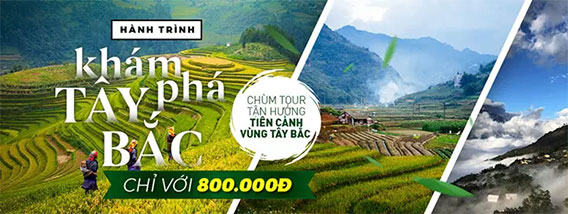 Quảng cáo 1